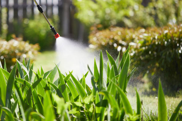 Tamper-Resistant Bait Stations for Rodents in Cle Elum