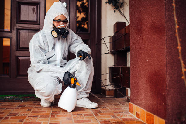 Attic and Crawl Space Rodent Treatment in Cle Elum