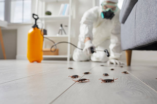 Commercial Rodent Management in Cle Elum
